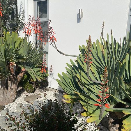 Stunning Park Side Holiday Home Christchurch Extérieur photo