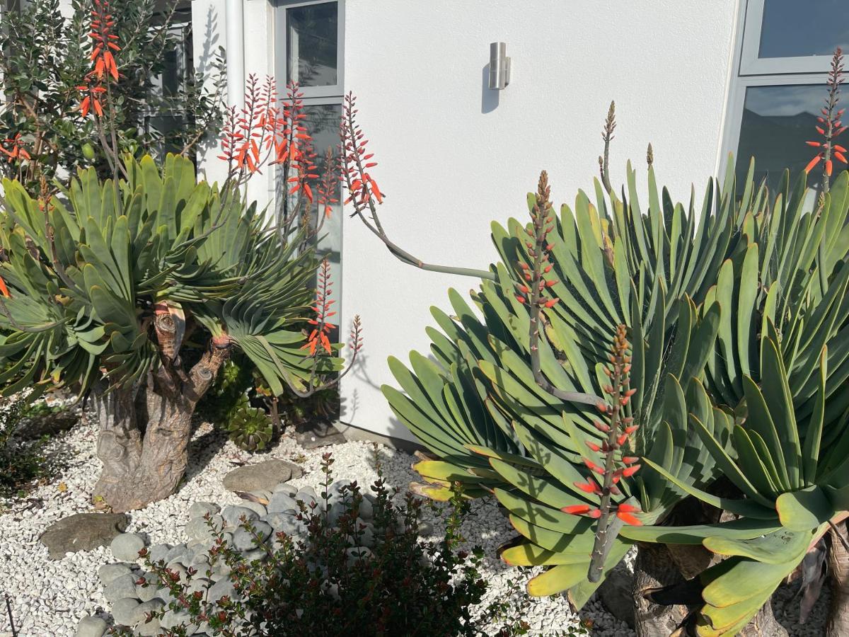 Stunning Park Side Holiday Home Christchurch Extérieur photo
